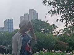 -金银湖国家城市湿地公园