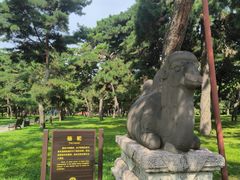 -北陵公园