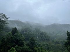 -阳台山森林公园