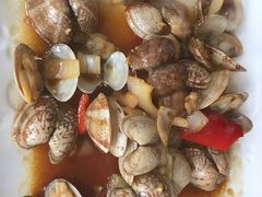 -食海部落