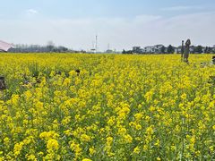 -桤木河湿地公园