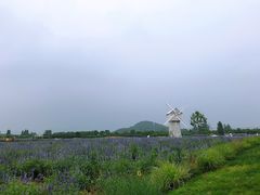 -北京东方普罗旺斯薰衣草庄园