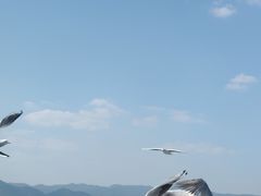 -海埂大坝