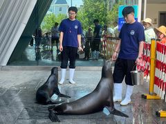 -烟台海昌鲸鲨海洋公园