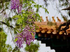-北京国子监胡同