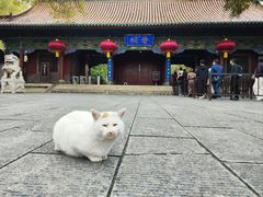 -晋祠公园