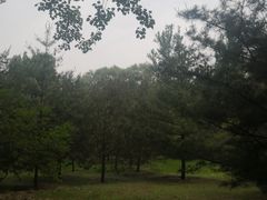 -森林公园(尖草坪区)