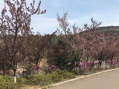 -中国海洋大学（崂山校区）-游泳馆