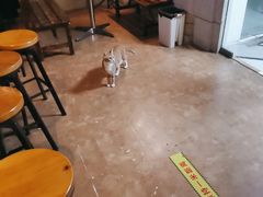 -逃脱反斗城沉浸剧情密室(北京路店)