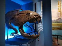 -湖南省地质博物馆