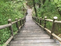 -内乡宝天曼生态旅游区