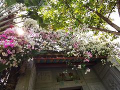 -深圳国际园林花卉博览园