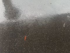 -索拉古贝(义乌北苑店)