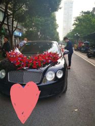 -蚂蚁婚车
