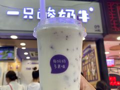 -一只酸奶牛(八一路店)