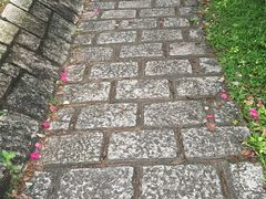 -大埔公路-马料水段香港中文大学(公交站)