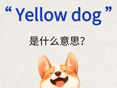 -新航道雅思托福·留学·考研培训(人民广场校区)