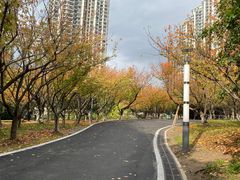 -苏州河梦清园环保主题公园