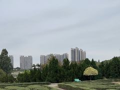 -南沙蒲洲花园