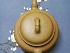 -灵龟之家百象馆(百象馆联合旗舰店)
