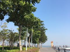 -深圳湾公园(南山区)