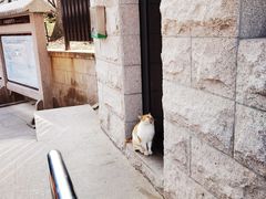 -崂山九水游览区