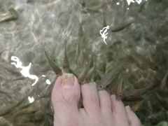-宝丽金大酒店·洗浴中心