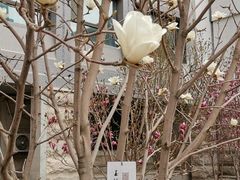 -内蒙古工业大学(新城校区)