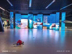 -深圳市当代艺术与城市规划馆