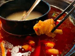 精品烧鸡公-重庆烧鸡公火锅(簋街店)