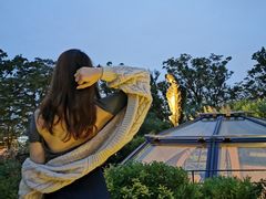 -三鹰之森吉卜力美术馆