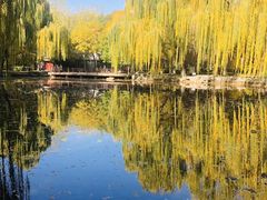 -玲珑塔公园