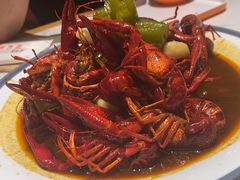 -杨氏青龙虾·羊蝎子(托乐嘉店)