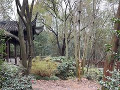 -上海佘山国家森林公园天马山园