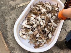 -芦潮港集贸市场