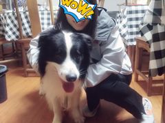 -张小文胡辣汤(龙柏新村店)