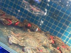 -77号渔船·蒸海鲜青岛菜(积米崖店)