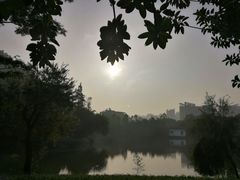 -南沙蒲洲花园