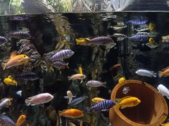 -太平洋海底世界