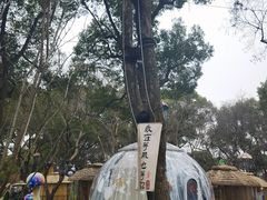 -无锡梅园公园