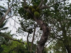 -亚龙湾中心广场