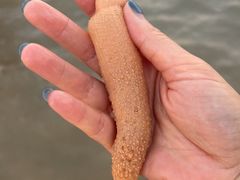 -银滩滨海旅游度假区