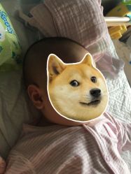 点击看大图 -龙文宝贝上门婴儿理发满月剃胎毛(总店)