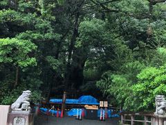 -来宫神社