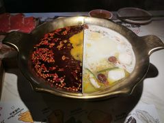 -九鼎轩脆毛肚火锅(三钢里店)