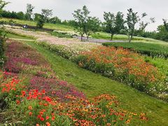 -同里国家湿地公园