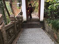 -韬光茶庵