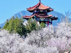 -白水寺森林公园