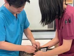 -宠颐生斯嘉宠物医院·急重症·心内科(谷阳北路分院)