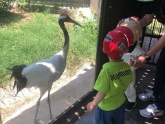 -宿豫区运河湾森林动物园